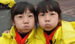 双胞胎姐妹吃瓜爆料,一场吃瓜爆料的狂欢